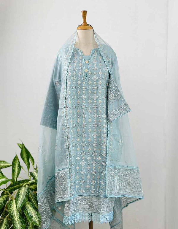 Z362-Ready-to-Wear Organza Kurti Set with Organza Dupatta - Sheer Elegance 🌸