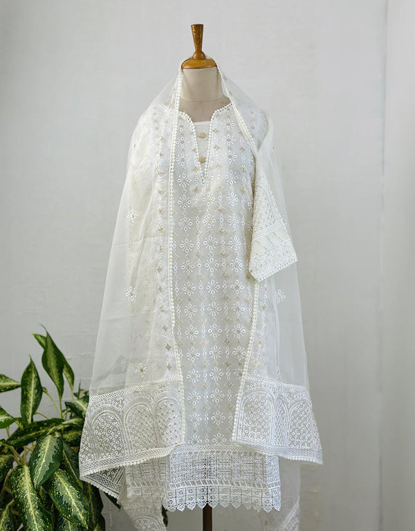 Z362-Ready-to-Wear Organza Kurti Set with Organza Dupatta - Sheer Elegance 🌸