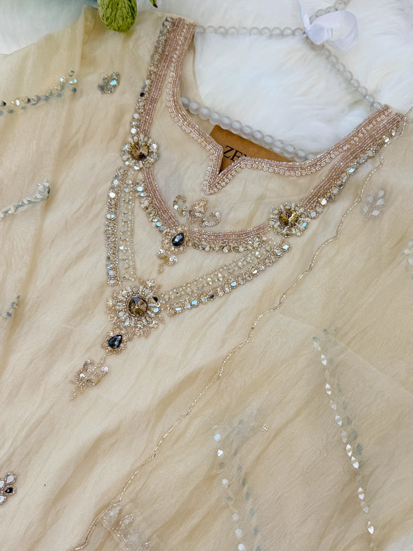 ✨ Pure Tissue Silk Party Wear Handwork Suit