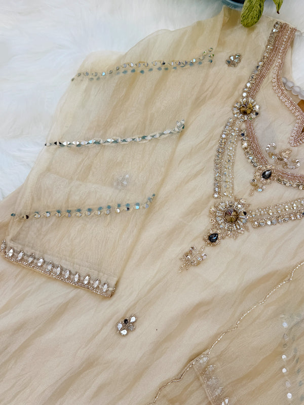 ✨ Pure Tissue Silk Party Wear Handwork Suit