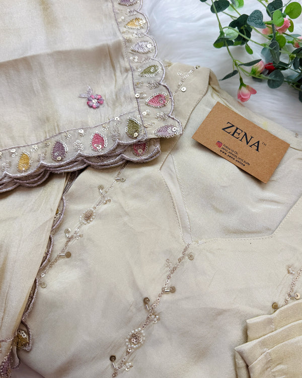✨ Tissue Handwork Party Wear Set ✨