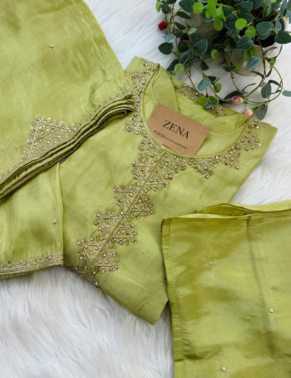 Tissue Silk Handwork Partywear Suit