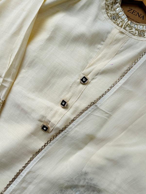 Tissue Silk Party Wear Suit