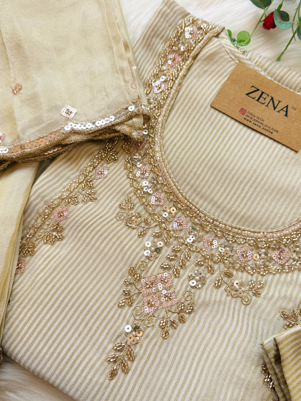 ✨ Tissue Silk Handwork Party Wear Suit ✨