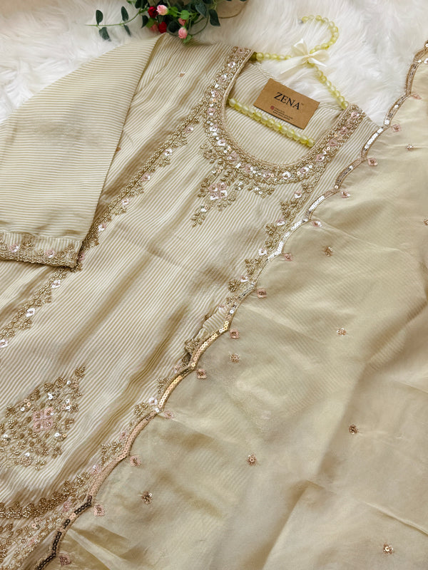 ✨ Tissue Silk Handwork Party Wear Suit ✨