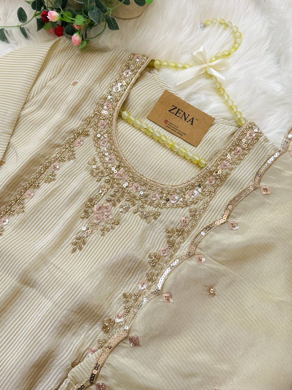 ✨ Tissue Silk Handwork Party Wear Suit ✨