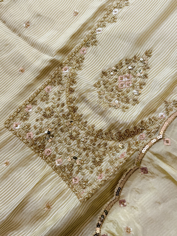 ✨ Tissue Silk Handwork Party Wear Suit ✨