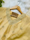 Ready-to-Wear V-Neck Embroidery Work Suit with Organza Dupatta