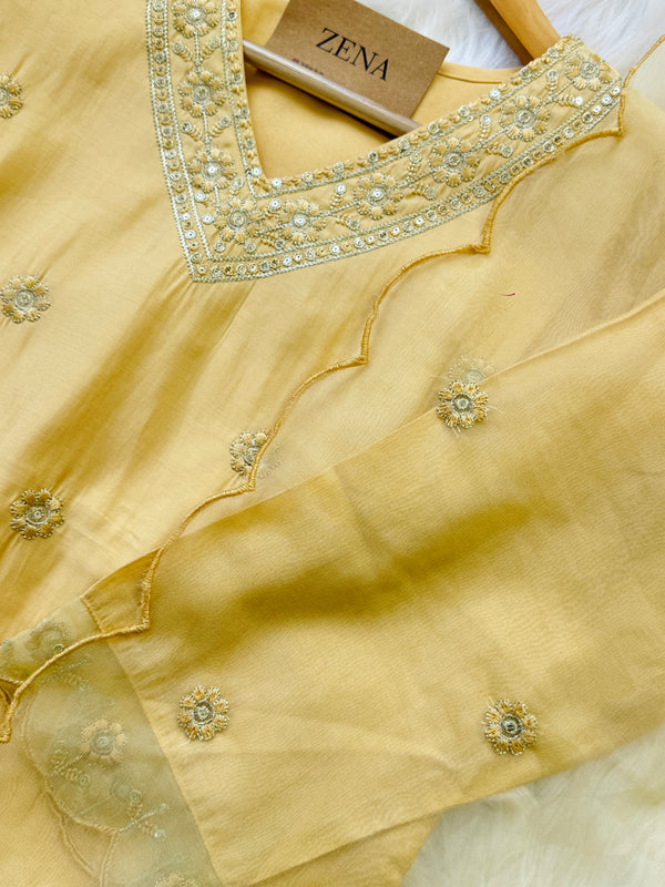 Ready-to-Wear V-Neck Embroidery Work Suit with Organza Dupatta