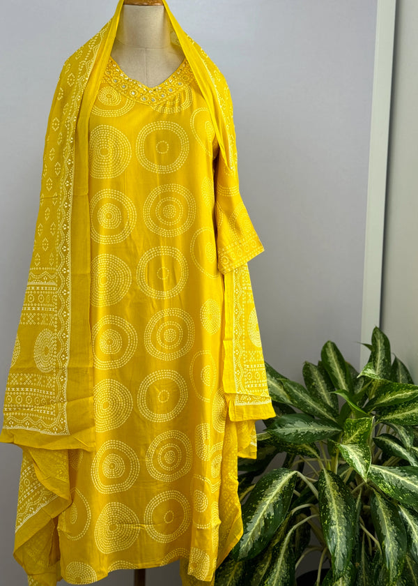 Pure Cotton Mirror Work Hand Embroidered Kurti Set