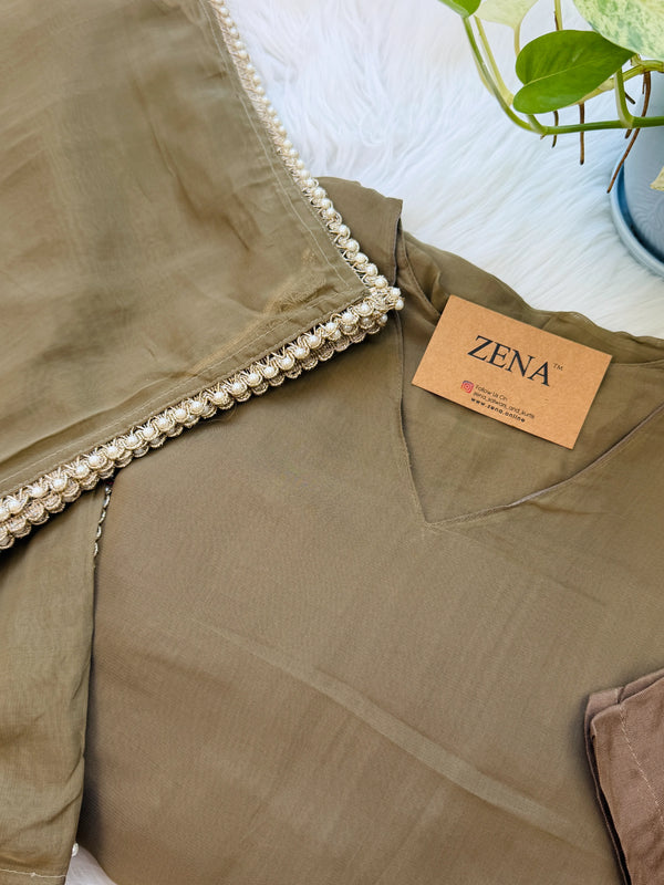 ✨ Viscose Organza Pearlwork Party Wear Kurti Set