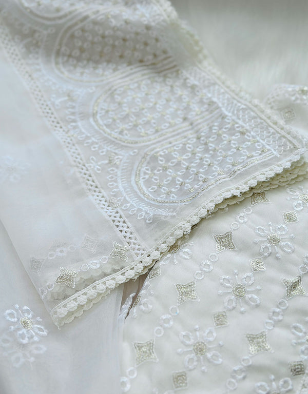 Z362-Ready-to-Wear Organza Kurti Set with Organza Dupatta - Sheer Elegance 🌸