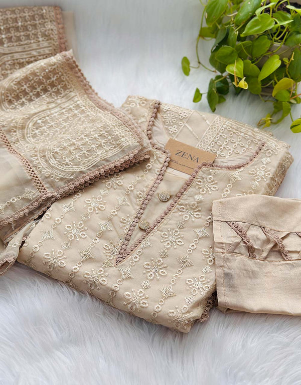 Z362-Ready-to-Wear Organza Kurti Set with Organza Dupatta - Sheer Elegance 🌸