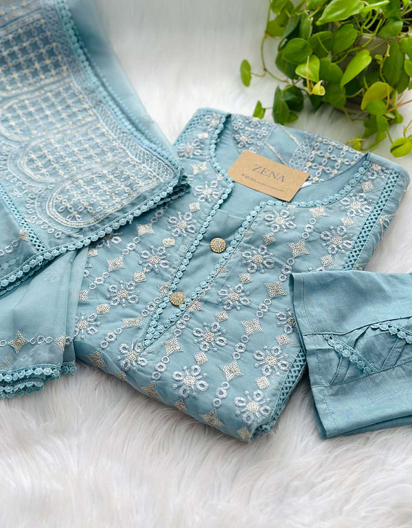 Z362-Ready-to-Wear Organza Kurti Set with Organza Dupatta - Sheer Elegance 🌸