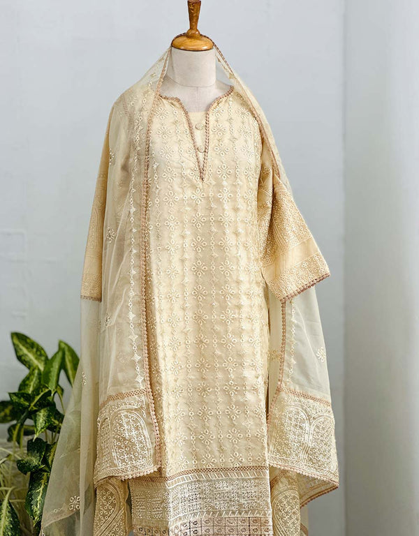 Z362-Ready-to-Wear Organza Kurti Set with Organza Dupatta - Sheer Elegance 🌸