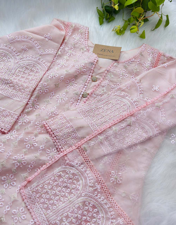 Z362-Ready-to-Wear Organza Kurti Set with Organza Dupatta - Sheer Elegance 🌸