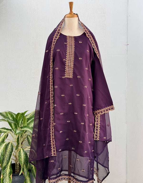 Ready to Wear Organza Kurti Set – Sheer Elegance & Grace ✨