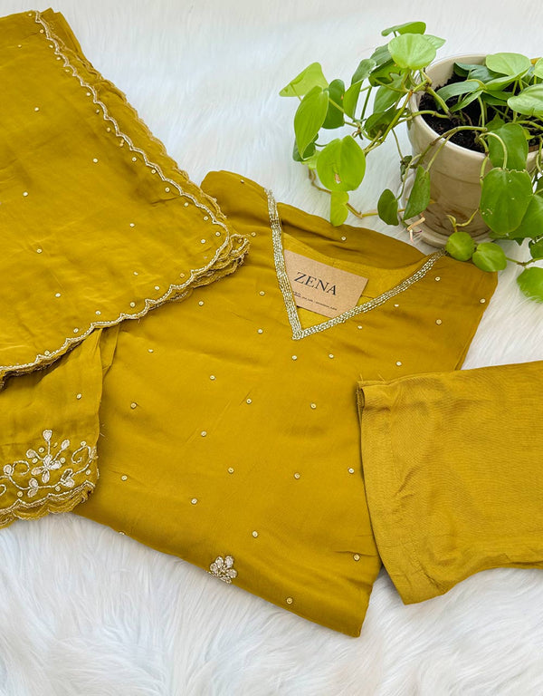 Pure Organza Handwork Party Wear Suit✨