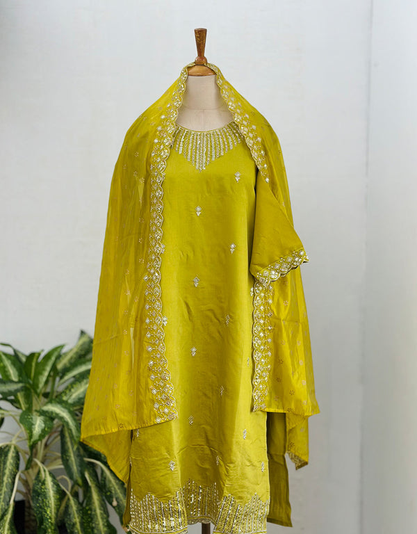 Tissue Silk Ready-to-Wear Handwork Kurti Set – Luxurious Elegance with Exquisite Craftsmanship ✨