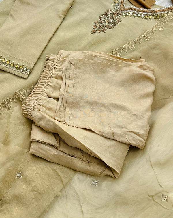 ✨ Tissue Silk Handwork Suit ✨