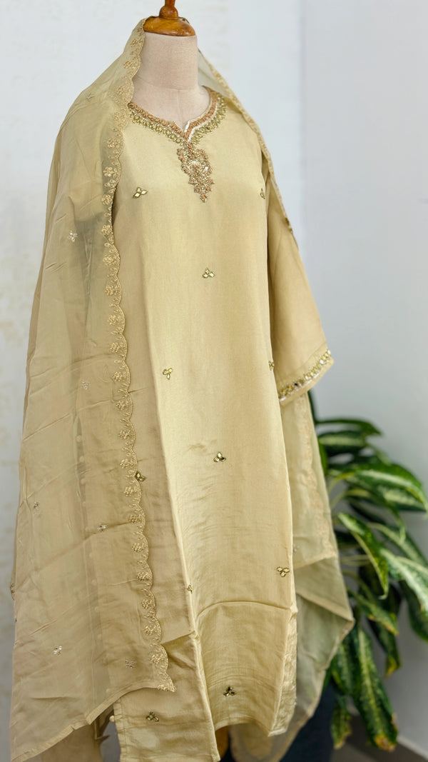 ✨ Tissue Silk Handwork Suit ✨