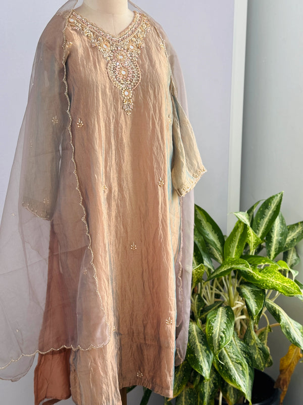 Premium Tissue Silk Handwork Suit – Timeless Elegance ✨