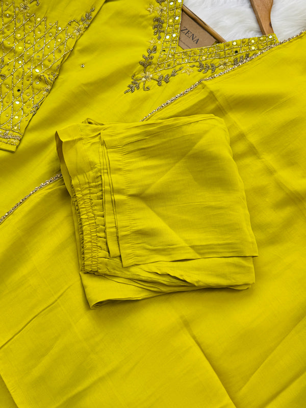 ✨ Organza Handwork Party Wear Suit ✨