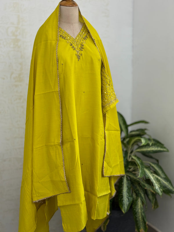 ✨ Organza Handwork Party Wear Suit ✨