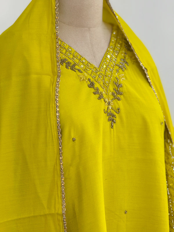 ✨ Organza Handwork Party Wear Suit ✨