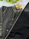 Tissue Silk Handwork Party Wear Suit – Celebrate in Sheer Elegance