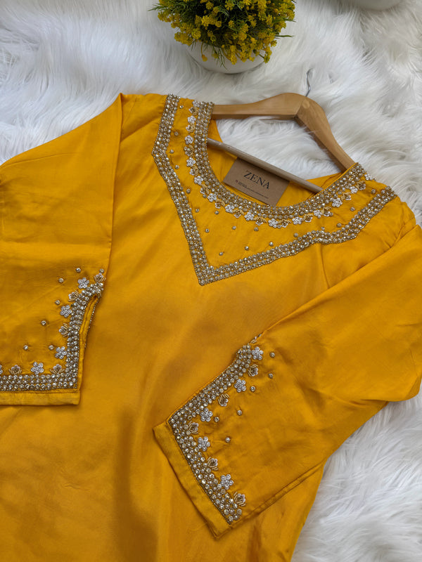 ✨ Organza Handwork Party Wear Set ✨