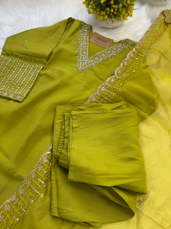 ✨ Organza Handwork Party Wear Kurti Set ✨