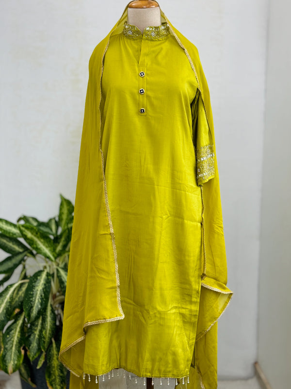 Tissue Silk Handwork Party Wear Suit – Celebrate in Sheer Elegance