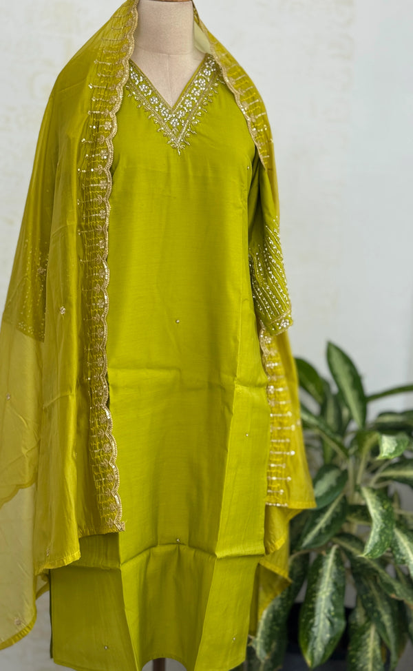 ✨ Organza Handwork Party Wear Kurti Set ✨