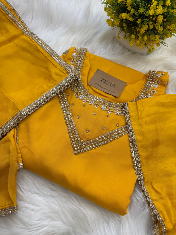 ✨ Organza Handwork Party Wear Set ✨