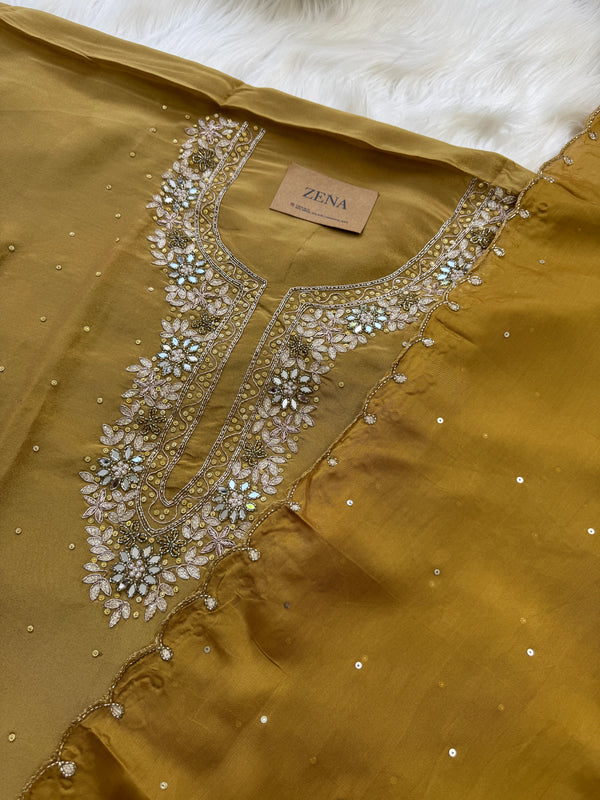 ✨ Pure Tissue Silk Handwork Party Wear Suit ✨