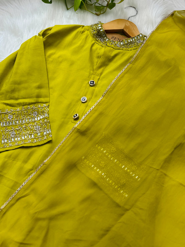 Tissue Silk Handwork Party Wear Suit – Celebrate in Sheer Elegance