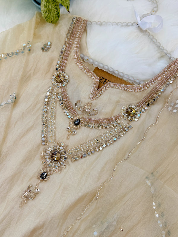 ✨ Pure Tissue Silk Party Wear Handwork Suit