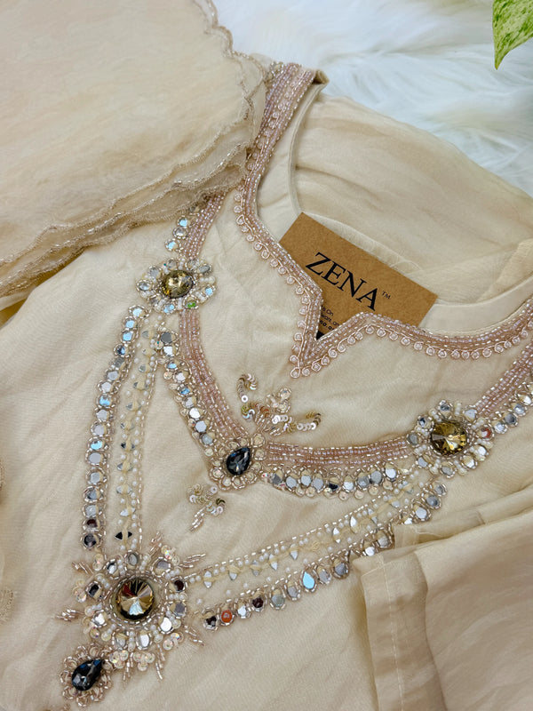 ✨ Pure Tissue Silk Party Wear Handwork Suit