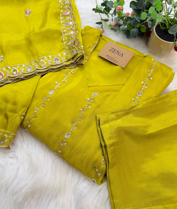 ✨ Tissue Handwork Party Wear Set ✨