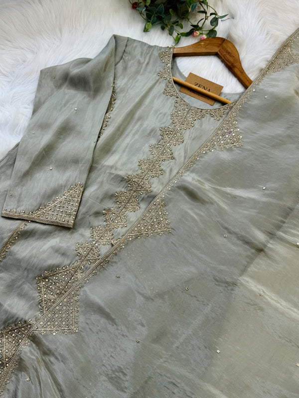 Tissue Silk Handwork Partywear Suit