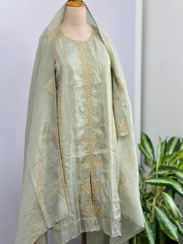 Tissue Silk Handwork Partywear Suit