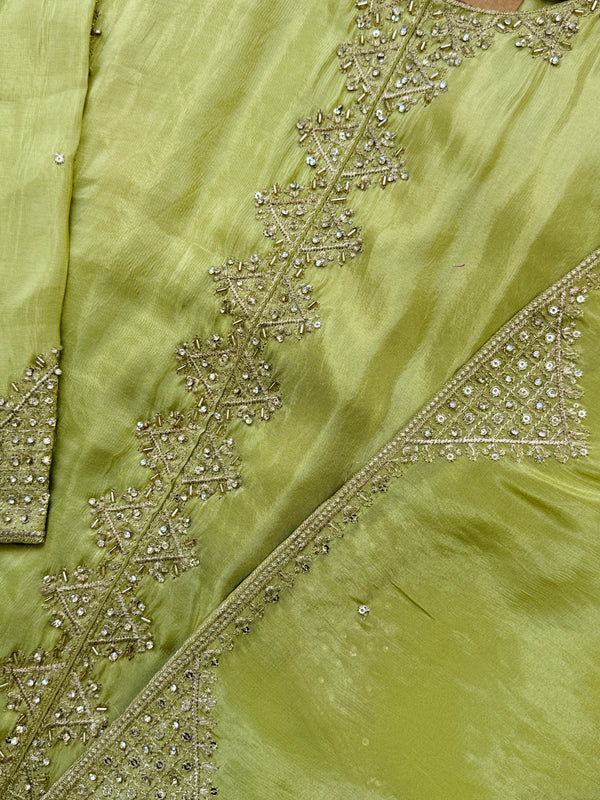 Tissue Silk Handwork Partywear Suit