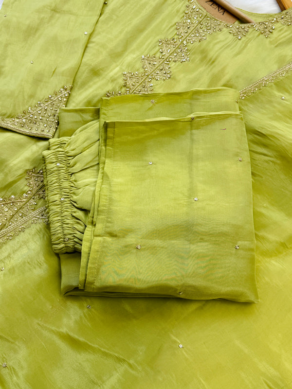 Tissue Silk Handwork Partywear Suit