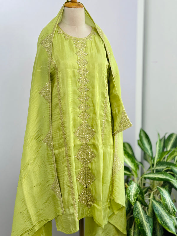 Tissue Silk Handwork Partywear Suit