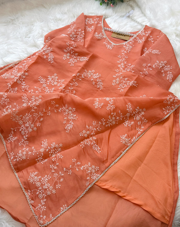 ✨ Glass Chanderi Embroidered A-Line Kurti Set ✨