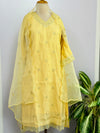 Ready-to-Wear V-Neck Embroidery Work Suit with Organza Dupatta