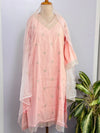 Ready-to-Wear V-Neck Embroidery Work Suit with Organza Dupatta