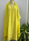 Silken Grace – Tabby Silk A-Line Kurti Set with Organza Dupatta