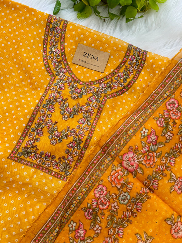 Viscose Organza Unstitched Partywear Suit with Dupatta – Elegant Festive Set